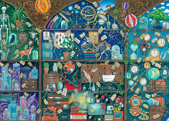 Puzzle Ravensburger Cabinet Of Curiosities 1000 elementów (4005556175970) - obraz 2