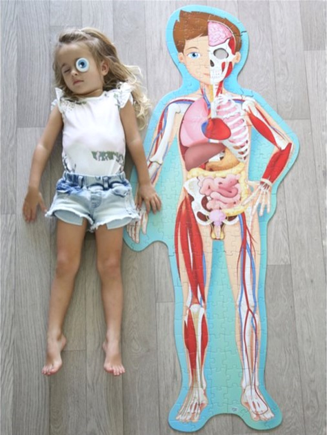 Sassi Travel Know Explore The Human Body - Matthew Gaule (wersja włoska) (9788868607449) - obraz 9