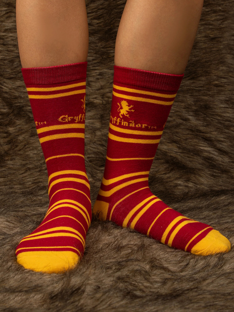 Zestaw skarpet dziecięcych 3 pary Distrineo Harry Potter - Gryffindor socks One size Czerwony (4895205602700) - obraz 2