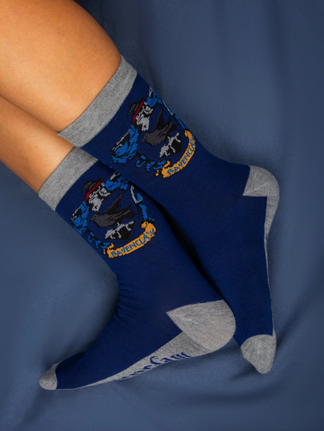 Zestaw skarpet dziecięcych 3 pary Distrineo Harry Potter - Ravenclaw socks One size Niebieski (4895205602724) - obraz 2