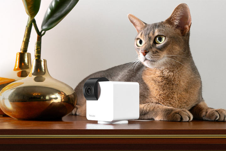 Компактна HD-камера Petcube Cam 360 (P36010US) - зображення 5