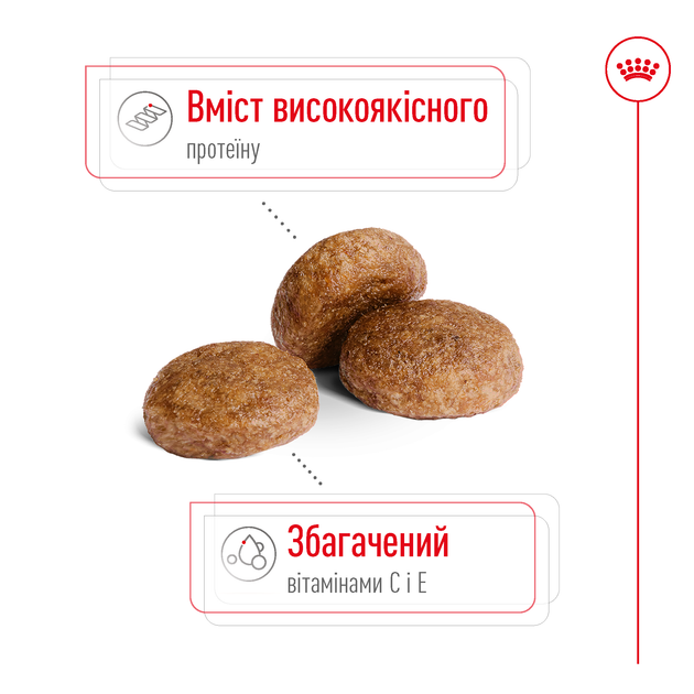 Сухой корм для собак средних пород старше 7 лет Royal Canin Medium Adult 7+ , 4 кг - Фото 3 Сухой корм для собак средних пород старше 7 лет Royal Canin Medium Adult 7+ , 4 кг - изображение 3