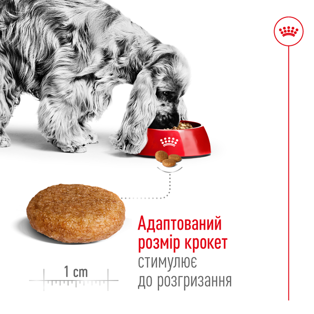 Сухой корм для собак средних пород Royal Canin Medium, 4 кг - изображение 5