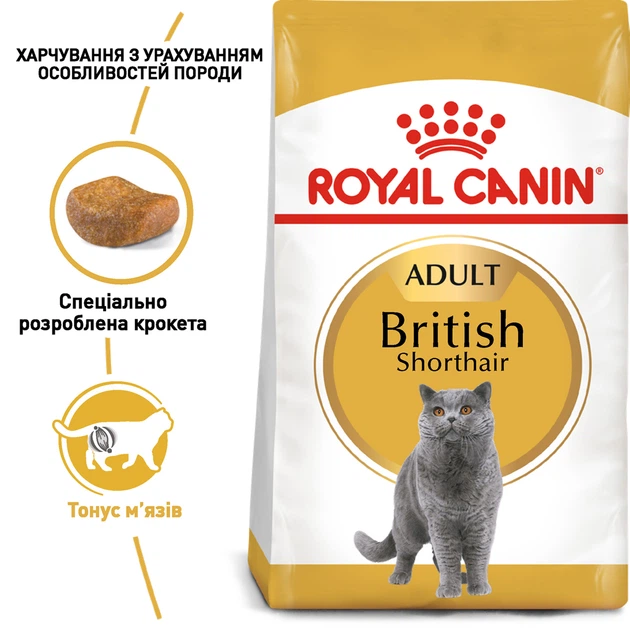 Сухой корм для взрослых кошекRoyal Canin Adult British Shorthair породы Британская короткошерстная, 2 кг - изображение 2