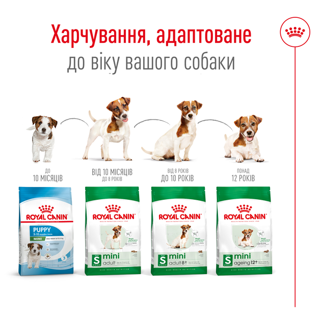 Сухий корм для старіючих собак малих порід Royal Canin Mini Adult 8+, 800 г - Фото 2 Сухий корм для старіючих собак малих порід Royal Canin Mini Adult 8+, 800 г - зображення 2