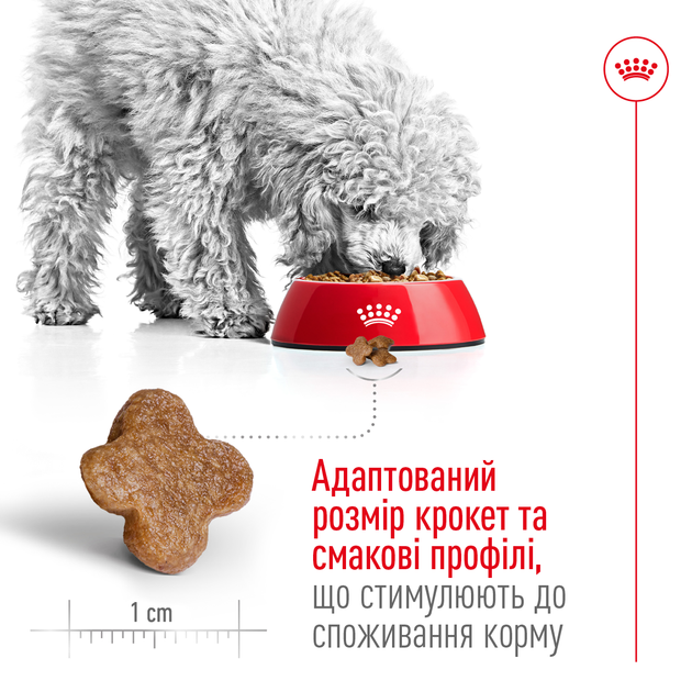 Сухий корм для старіючих собак малих порід Royal Canin Mini Adult 8+, 800 г - Фото 3 Сухий корм для старіючих собак малих порід Royal Canin Mini Adult 8+, 800 г - зображення 3