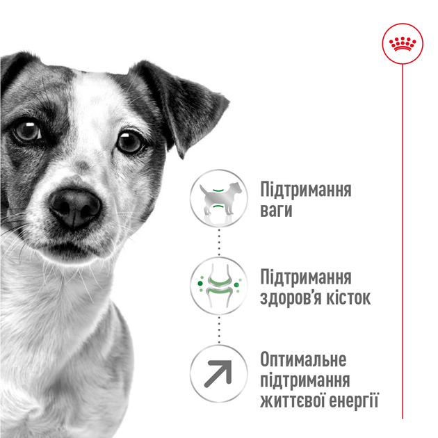 Сухой корм для собак малых пород старше 12 лет Royal Canin Mini Ageing 12+ , 800 г - Фото 6 Сухой корм для собак малых пород старше 12 лет Royal Canin Mini Ageing 12+ , 800 г - изображение 6