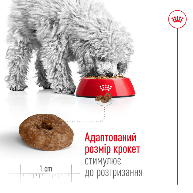 Сухой корм для собак малых пород старше 12 лет Royal Canin Mini Ageing 12+ , 800 г - Фото 5 Сухой корм для собак малых пород старше 12 лет Royal Canin Mini Ageing 12+ , 800 г - изображение 5