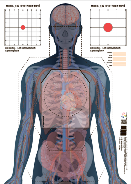 Мишень сувенирная «Анатомическая», ф. А2 - изображение 2