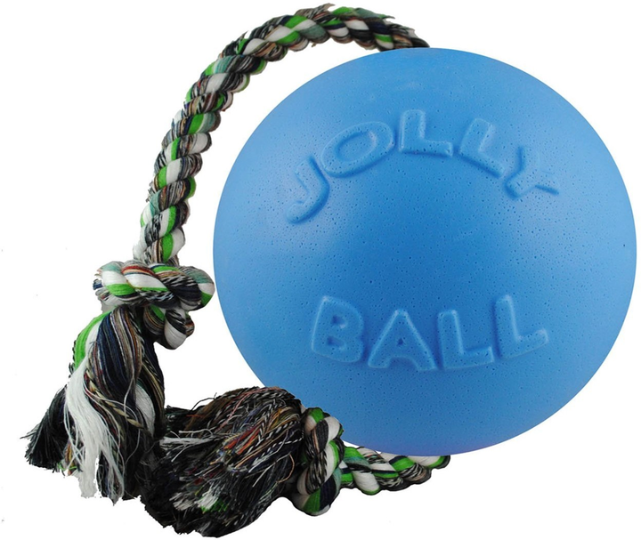 Piłka dla psów Jolly Pets Romp-n-Roll 20cm Blue (0788169060829) - obraz 1