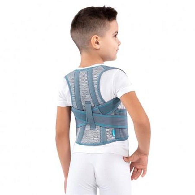 Корсет Алком для коррекции осанки детский (размер 2) цвет серый (артикул 1030) - изображение 2