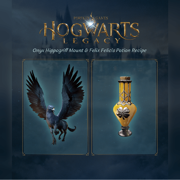 Gra PS5 Hogwarts Legacy (Blu-ray) (5051895415535) - obraz 6