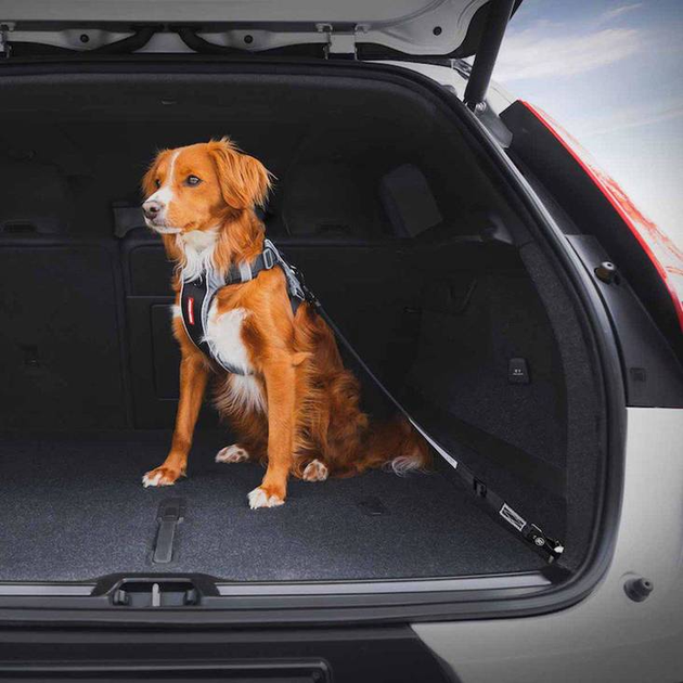 Ремінь безпеки для собак EzyDog Click Isofix L (9346036100484) - зображення 6