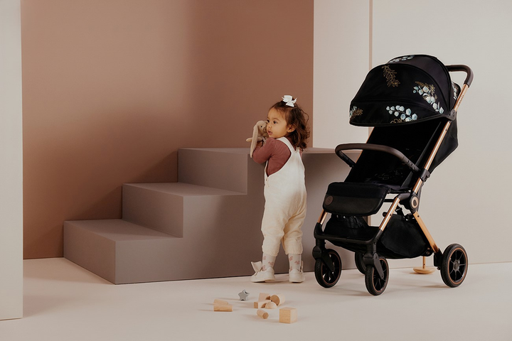 Прогулянкова коляска Lionelo Cloe Golden Moments (5903771706940) - зображення 6