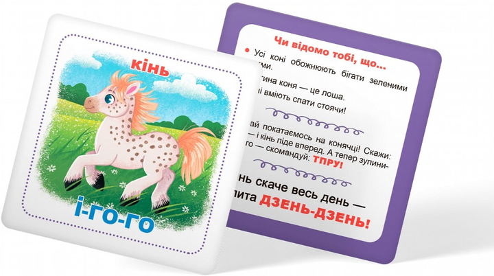 Розумні картки. Вивчаємо звуки. 30 карток (9786175474952) - зображення 6