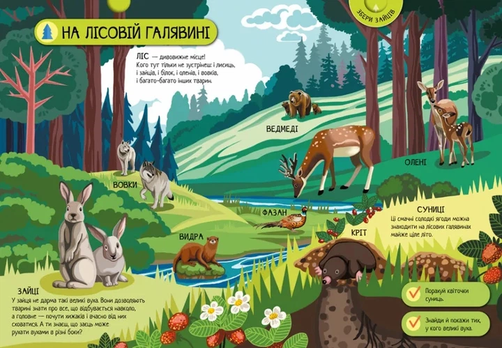 Велика ігрова енциклопедія. Тварини лісу - Анастасія Толмачева (9786170974747) - изображение 2
