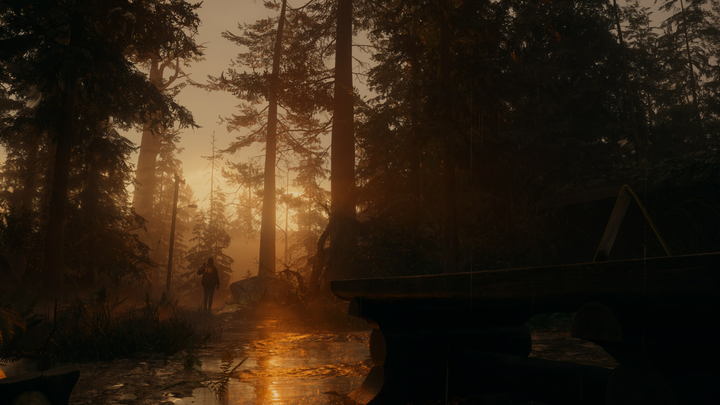 Gra PS5 Alan Wake 2 Deluxe Edition (Blu-ray płyta) (5056635609427) - obraz 14