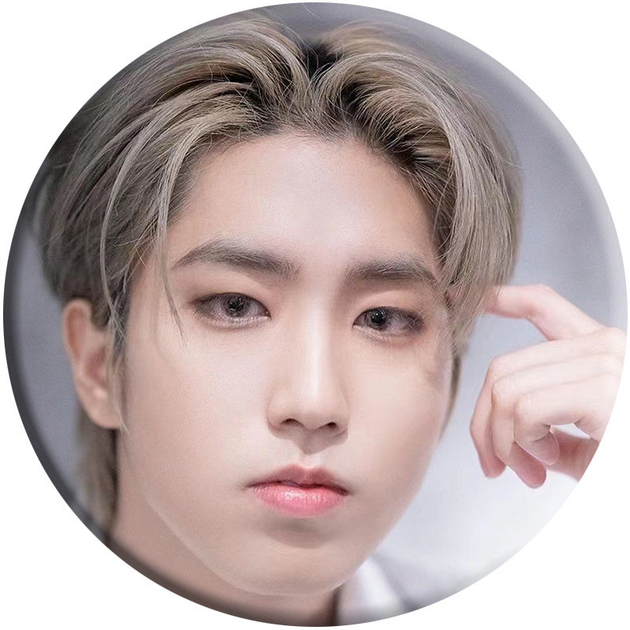 Значок Стрей Кидс (Stray Kids) 5 58 мм – фото, отзывы, характеристики в ...