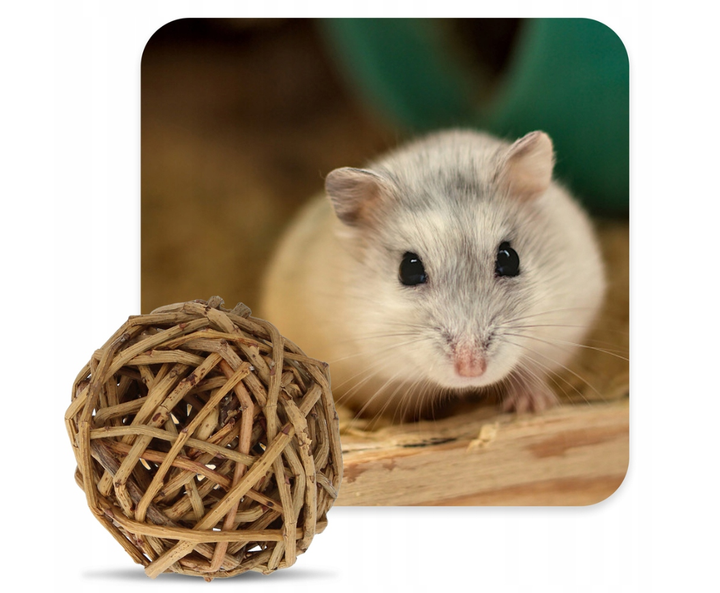 Іграшка для гризунів Trixie плетений м'яч 6 см TX-61941