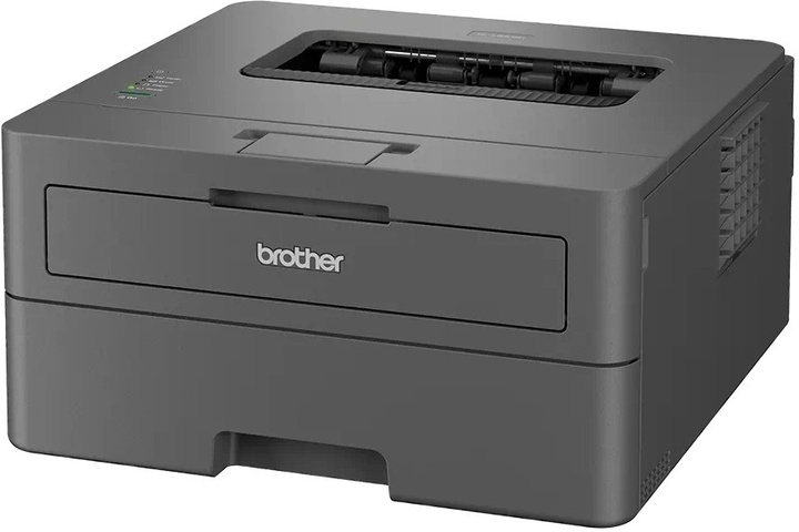 Drukarka Brother HL-L2402D (4977766831208) - obraz 3