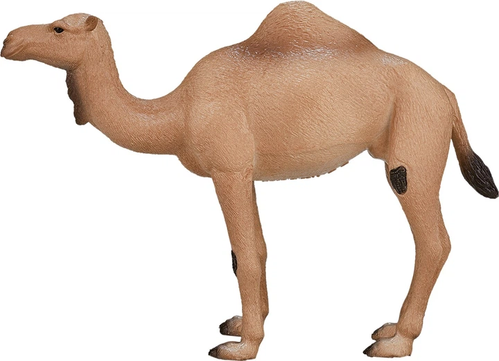 Figurka Mojo Wildlife Arabian Camel 12 cm (5031923871137) - obraz 5