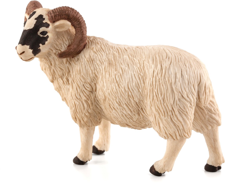 Фігурка Mojo Farm Life Black Faced Sheep Ram 8 см (5031923870819) - зображення 1