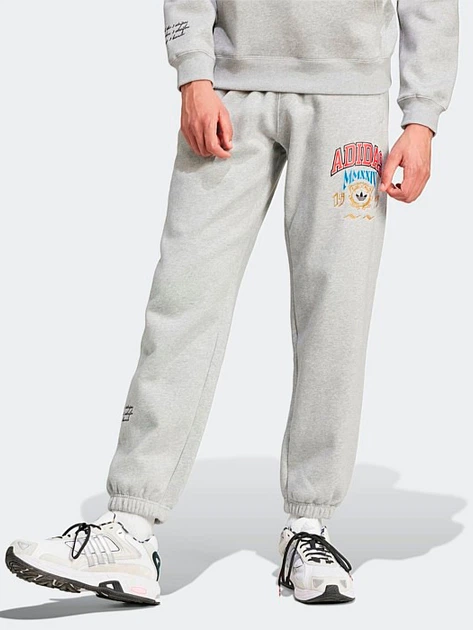 Брюки мужские Adidas Originals Vrct Pants 1 IX6774 L Серые