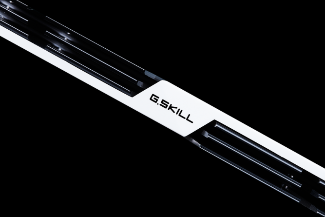 Пам'ять для настільних комп'ютерів G.Skill Trident Z DDR4 16 GB 3600MHz (F4-3600C16D-16GTZSW)(1022526) - зображення 6