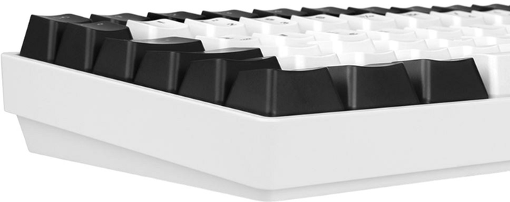 Klawiatura przewodowa Sharkoon Skiller SGK50 S3 Gateron Yellow USB White (4044951039678) - obraz 5