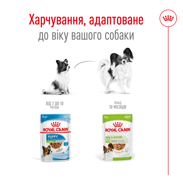Консервований корм Royal Canin X-small Adult in gravy Вологий корм для дорослих собак мініатюрних розмірів 85 г (8033010) - зображення 4