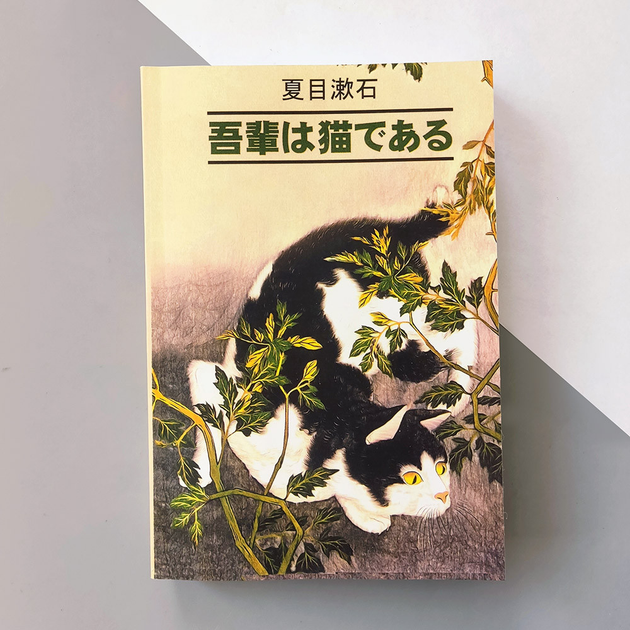 Книга Роман "Ваш слуга кот" - Нацумэ Сосэки от продавца: East book ...
