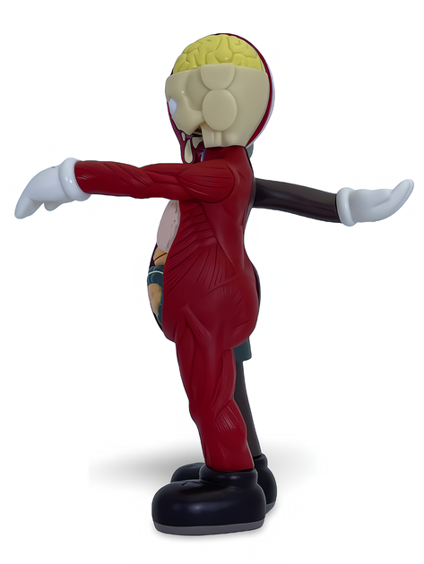 Статуэтка KAWS x Companion Flayed Open Edition x Color 400% 34 см Brian Donnelly Анатомия - изображение 8