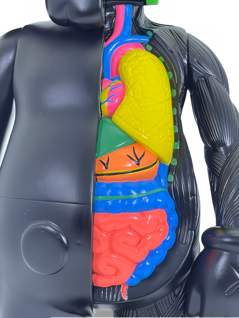 Статуэтка KAWS x Companion Flayed Open Edition x Black 400% 34 см Brian Donnelly Рыцарь - изображение 7