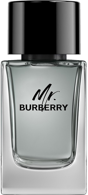 Burberry Mr. Burberry 100 3614229840124 ROZETKA