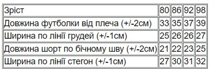 Детский летний комплект (футболка + шорты) для мальчика Носи Свое 5021-001-33-4 80 см Голубой (14602-165373) - изображение 2