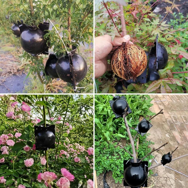 Шары для укоренения растений PlantGrow, 10 штук - Фото 11 Шары для укоренения растений PlantGrow, 10 штук - изображение 11