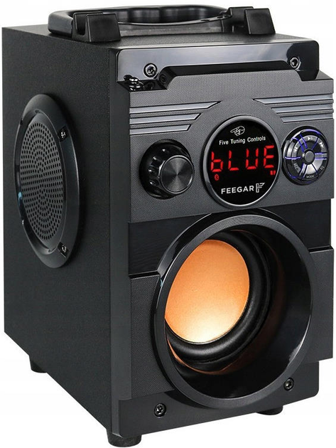Портативна колонка Feegar Showjet Black - зображення 2