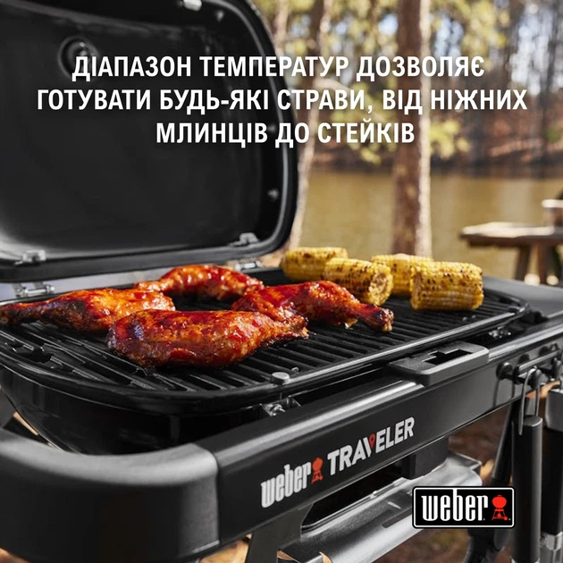 Газовый гриль Weber Traveler Compact (1500527) – фото, отзывы