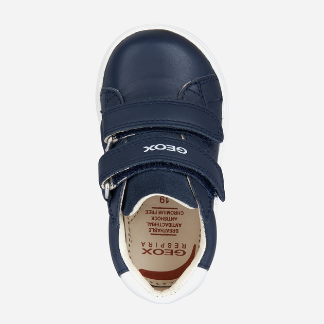 Дитячі кеди для хлопчика Geox B Biglia Boy B044DD08522C4264 21 Темно-сині (8056206010628) - зображення 4