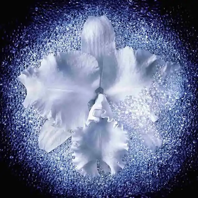 Serum do twarzy Guerlain Orchidee Imperiale The Micro-Lift Concentrate 30 ml (3346470616059) - obraz 5