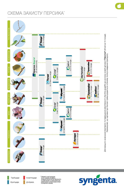 Інсекто-акарицид Syngenta Актеллік 50% к.е. 100 мл (4820041010402) - зображення 13