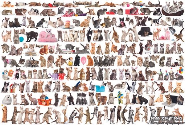 EuroGraphics Мир кошек 2000 элементов (8220-0580) - изображение 2