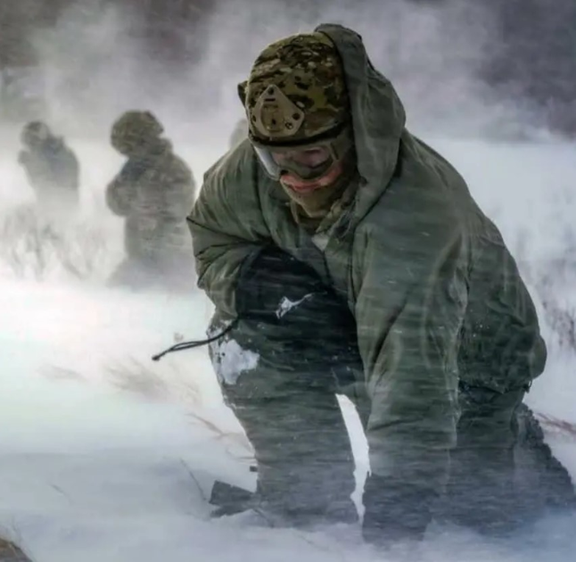 ECWCS gen Ⅲ LEVEL7 LARGE LONG サイズ Куртка ECWCS Gen III level 7 Parka Серый купить с доставкой