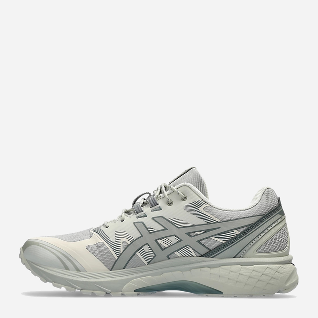 Buty sportowe męskie Asics Gel-Terrain 1203A342-020 42.5 Szare (4550457159395) - obraz 3