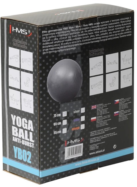Piłka gimnastyczna HMS Anti-Burst YB02 75 cm Szara (5907695554847) - obraz 4