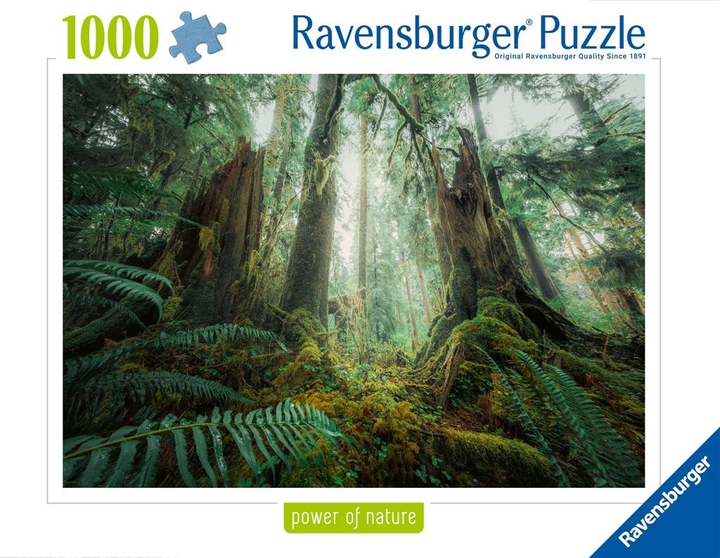 Puzzle Ravensburger Lasy 70 x 50 cm 1000 elementów (4005555002925) - obraz 1