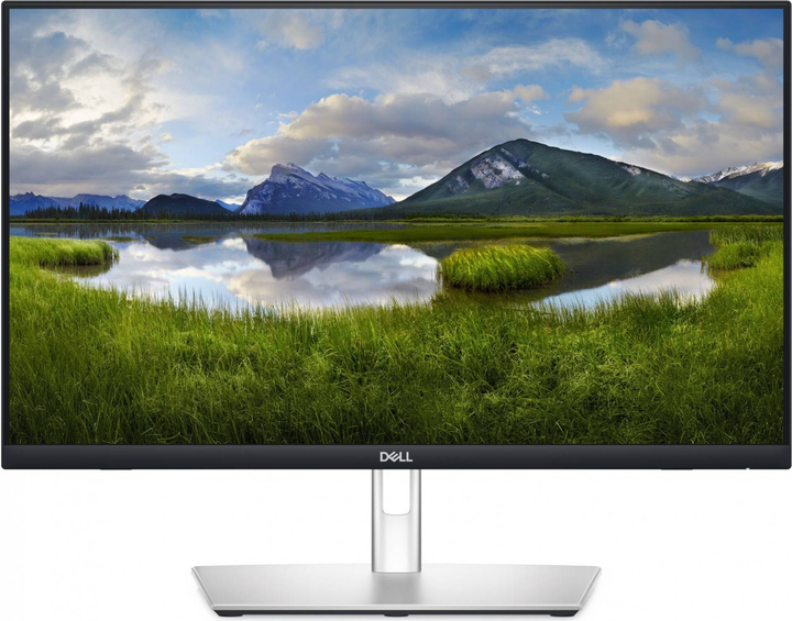 Monitor 24" Dell P2424HT Silver (DELL-P2424HT) - obraz 1