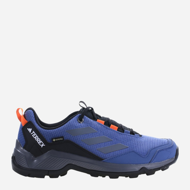 Buty sportowe trekkingowe męskie z Gore-Tex adidas Terrex Eastrail Gtx ID7846 42 Niebieskie (4066762545575) - obraz 1