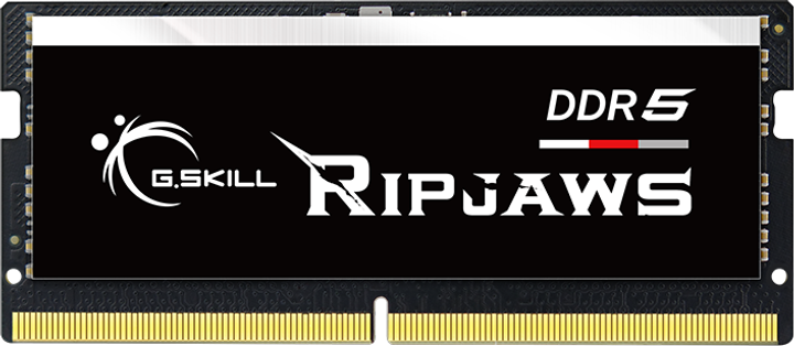 Pamięć RAM G.Skill DDR5-4800 16384MB PC4-38400 Ripjaws (F5-4800S3434A16GX1-RS) - obraz 1