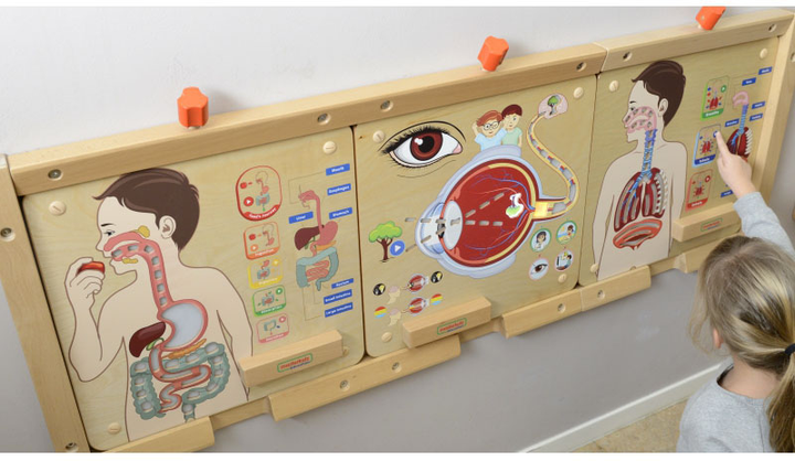 Zestaw do eksperymentów naukowych Masterkidz Montessori System oddechowy (6955920014405) - obraz 5